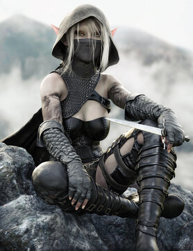 Dark Elf" Images – Browse 548 Vectors, and Video | Stock