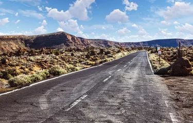 Poster Empty road with car marks on the natural landscape  © UnitedPixels