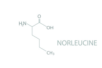 Norleucine molecular skeletal chemical formula.	