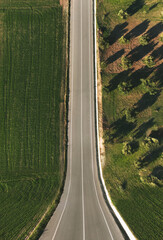 Aerial view of an up curving road with olive trees