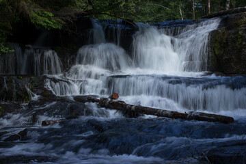 Alsea Falls