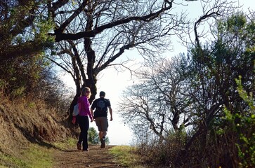 Hikers on trail, Palo Alto, CA, USA, MR