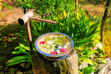 京都、本法寺庭園の花手水