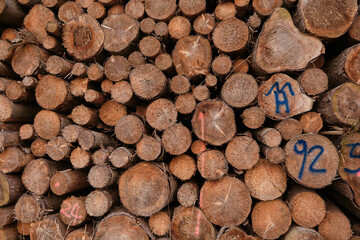 Wood walpapers, background, warm colors