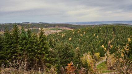 Green Forest, sky and nature photos from the Harz, Germany.