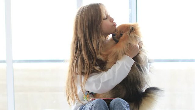 Little cute child girl at home play and hug holding her small pet dog at home