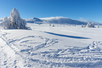 Obraz premium Winter landscape of Vitosha Mountain, Bulgaria