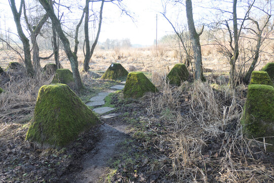 Der Westwall bei Bickerath im Naturpark Hohes Venn - Eifel