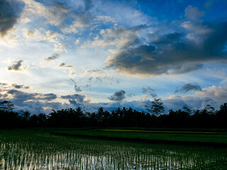 Landscape sunset of cloud and blue sky on the farm background beautiful nature.