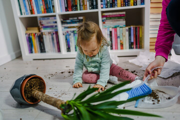 one caucasian baby girl making mess playing and mischief with bad behavior ripping paper towel and flower pot crushed on the floor naughty kid at home childhood and growing up misbehavior concept - obrazy, fototapety, plakaty