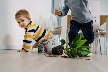 two caucasian boys making mess in the house brothers playing and mischief with bad behavior flower...