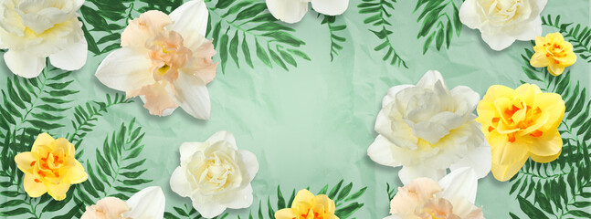 Beautiful narcissus flowers on color background with space for text - obrazy, fototapety, plakaty