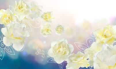 Beautiful flying narcissus flowers on color background