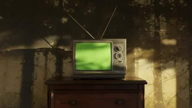 old retro tv with green screen covered by the shadows of a tree