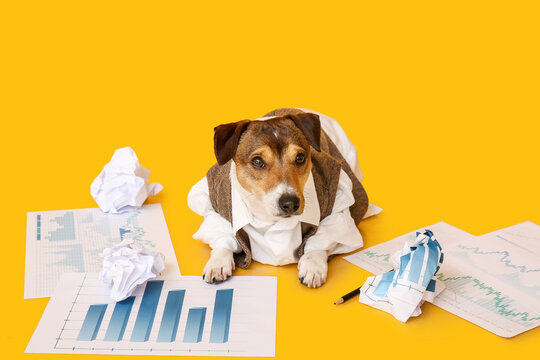 Business dog with documents on color background - Powered by Adobe