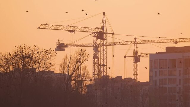 Dark silhouette of tower cranes at high residential apartment buildings construction site at sunset. Real estate development