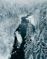 Aerial view of river Amata and forest during winter on a misty day