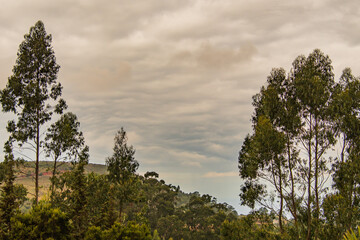 Fototapeta na wymiar Paisaje con árboles y nubes