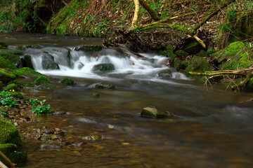 Plätschernder Bach in einem Wald während der Winterzeit.