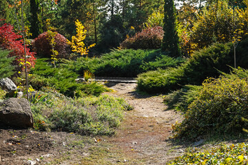 Panorama of beautiful autumn park