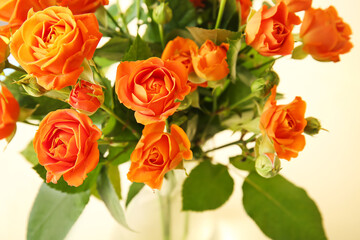 Bouquet of beautiful orange roses on yellow background, closeup