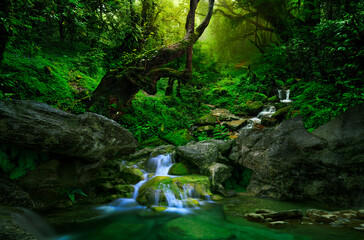 Southeast Asian rainforest with waterfall