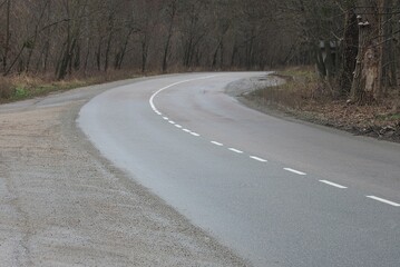 part of an asphalt road with a turn among gray dry trees on an autumn street