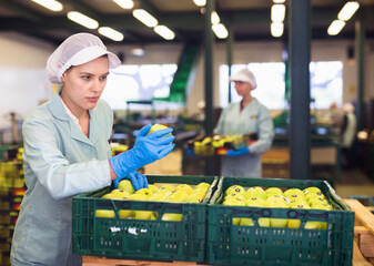 Young cheerful positive smiling woman in uniform holding crate with apples during packaging at warehouse.