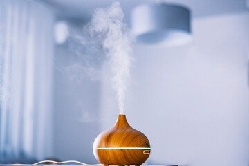 Humidifier with steam moisturizing air at home.