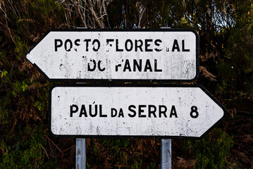 Old and weathered signposts near Fanal, Madeira, showing the directions to “Posto Florestal do Fanal” and “Paul da Serra”