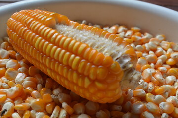 corn kernels with corn that has not been threshed. close up of corn kernels