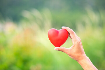 Fototapeta na wymiar Abstract closeup of red heart in hand on beautiful nature background. Love and compassion concept.