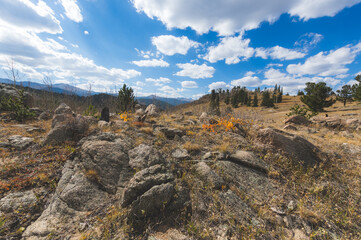 landscape in autumn