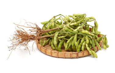 Fresh soybean on white background