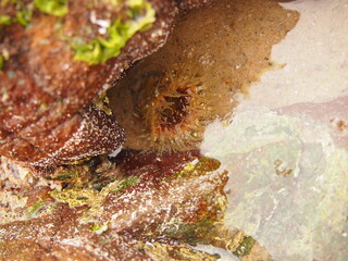 Obraz premium OLYMPUS DIGITAL CAMERA