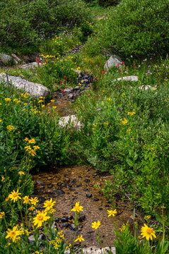 path in the park