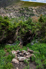 waterfall in the forest