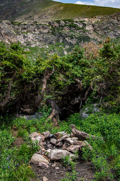 waterfall in the forest