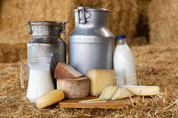 Dairy products. Bottle with milk, glass of milk, cheese and cottage cheese on wooden table at a...