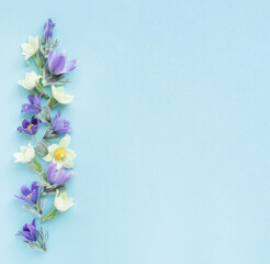 Festive spring flat composition of various spring flowers, snowdrop lumbago crocus. Pastel blue background copy space