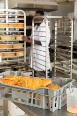 View of appetizing fresh baked bread in bakery. High quality photo