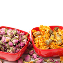 tea rose flowers on white background