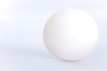 Egg on White Background
