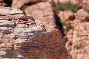 close up of section of sandstone petrified and fossilized sand dune with multiple colored layers of geological time stacked in chronological order showing history of this now desert region earth