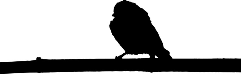 Vecteur à fond transparent d'oiseau, silhouette rouge-gorge, mésange et passereau sur branche.