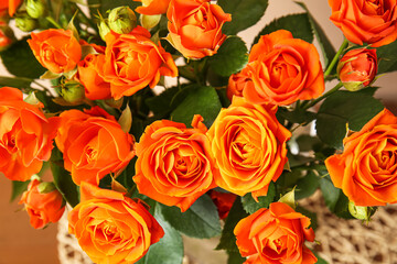 Bouquet of beautiful orange roses on beige background, closeup