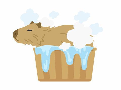 カピバラ Images Browse 1 660 Stock Photos Vectors And Video Adobe Stock