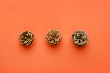 Pine cones on orange background