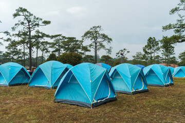 tourist tent on meadow at Phu Kradueng, Loei province, Thailand