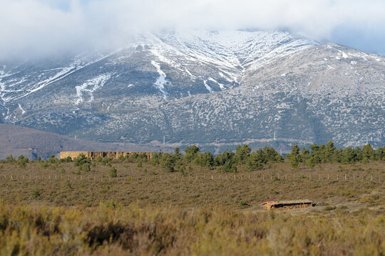 Paisaje monta&ntilde;oso con pradera verde en la que se observa un colmenar antiguo.